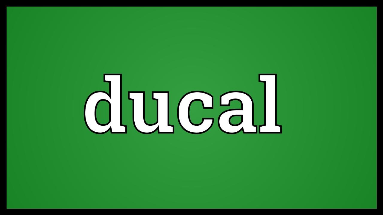 Ducal Meaning