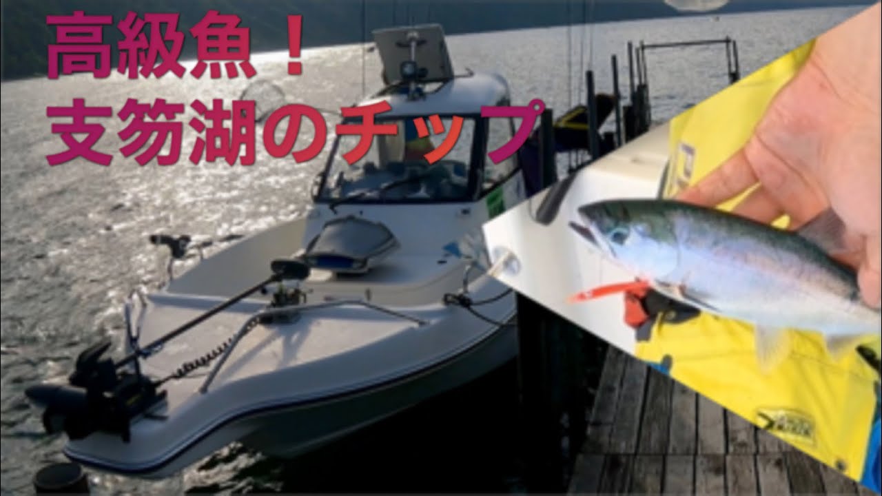 【支笏湖チップ釣り】1匹4,000円以上で取引きされる高級魚を釣ってみた
