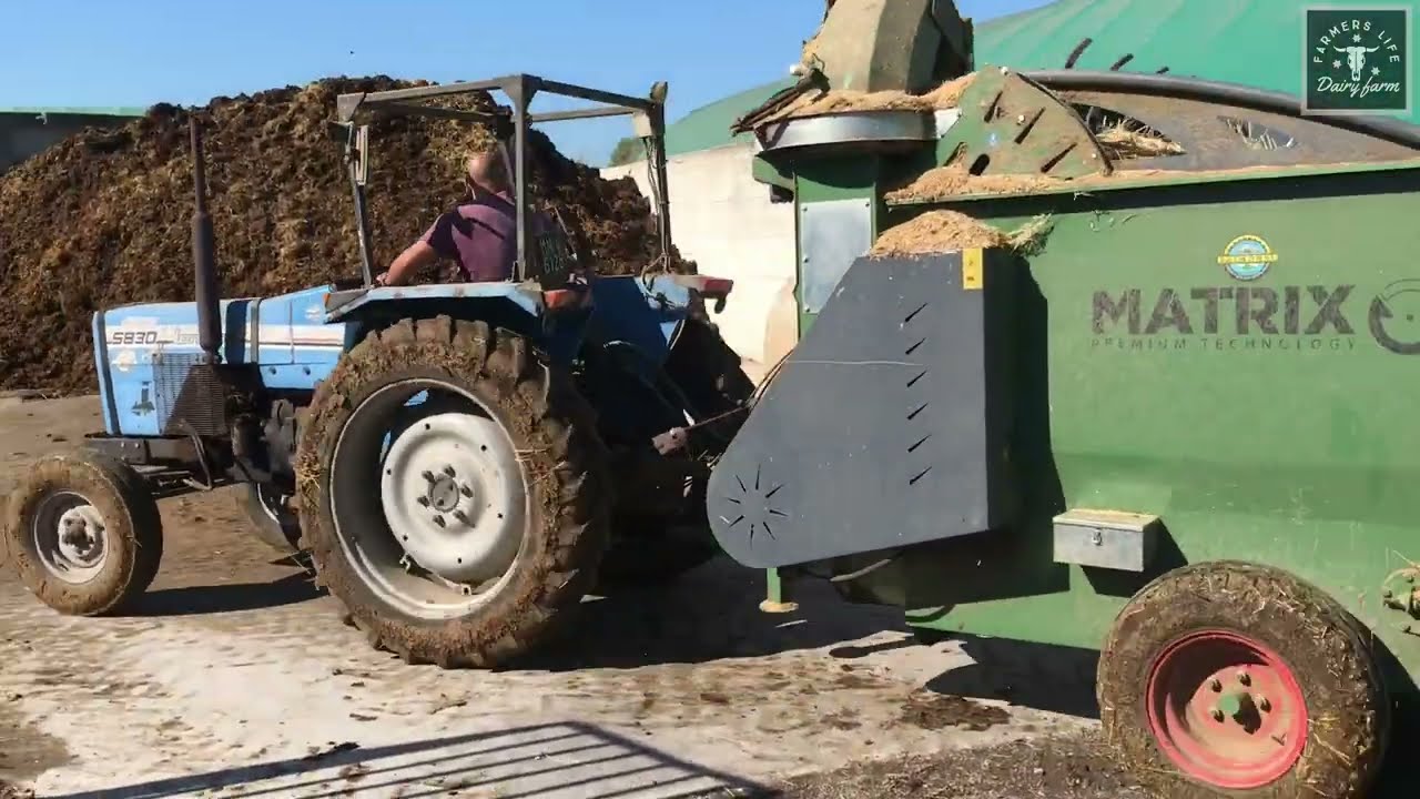 Dairy farming in Italy || Farmers life | Cleaning Calf Barn