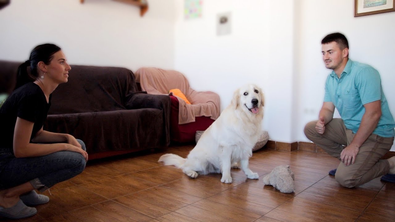 Who is Most Loved by our Funny Dog: Mommy or Daddy? [BEST REACTION EVER]