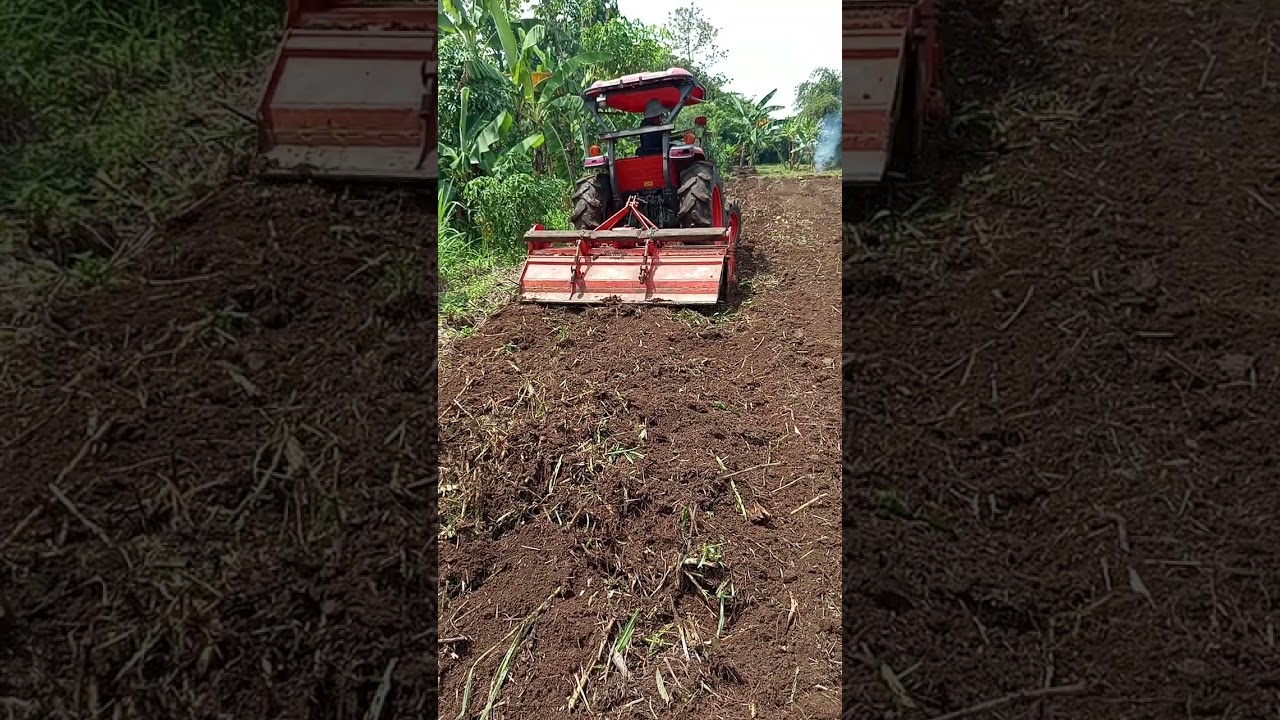 Traktor roda 4 Olah lahan buat tanam jagung