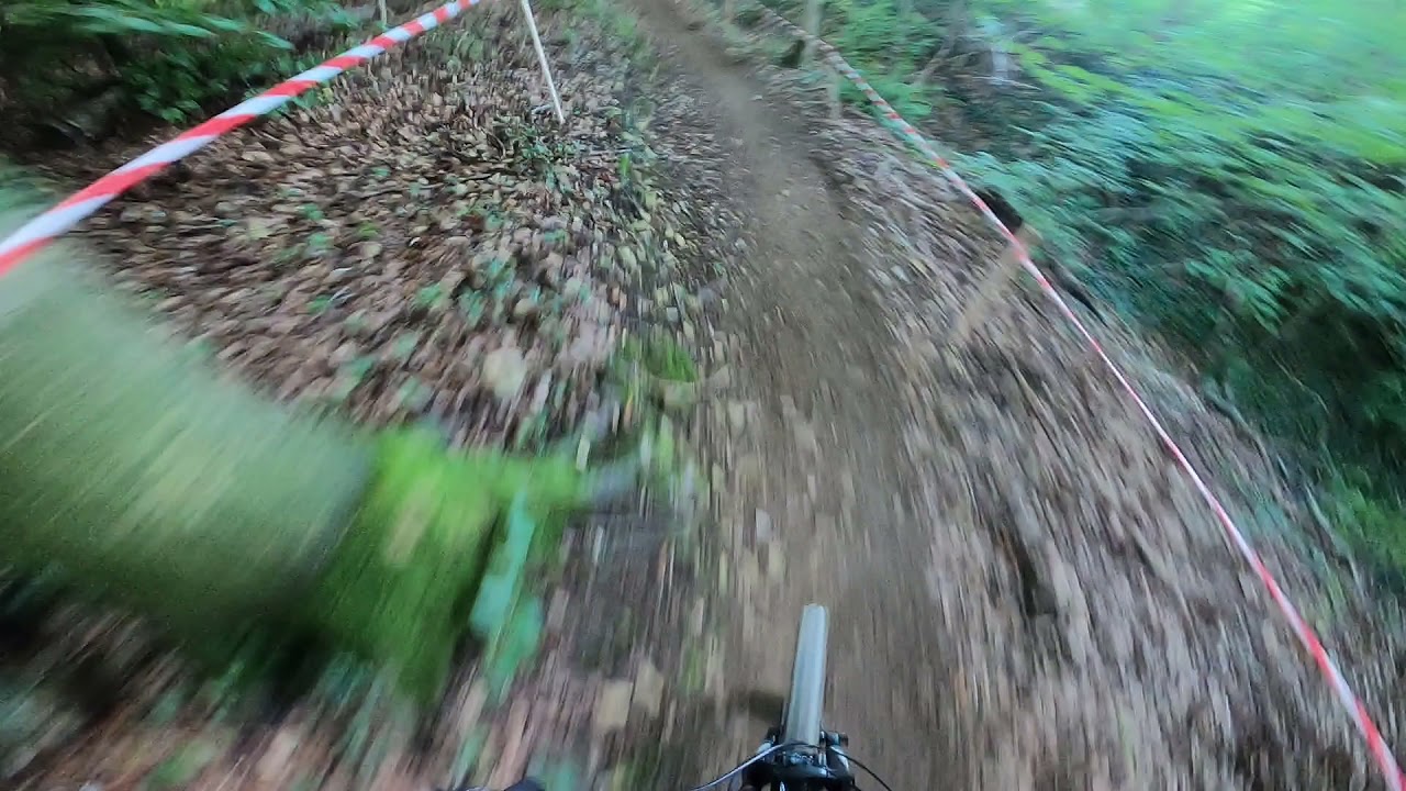 WAGON FAULX DH / -championnats grand-est 2021.