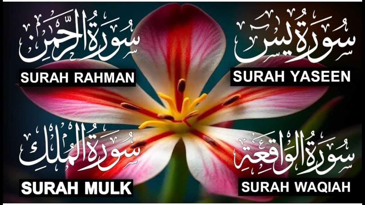 Surah Yasin ❤️ Surah Rahman , Surah Waqiah , Surah Mulk