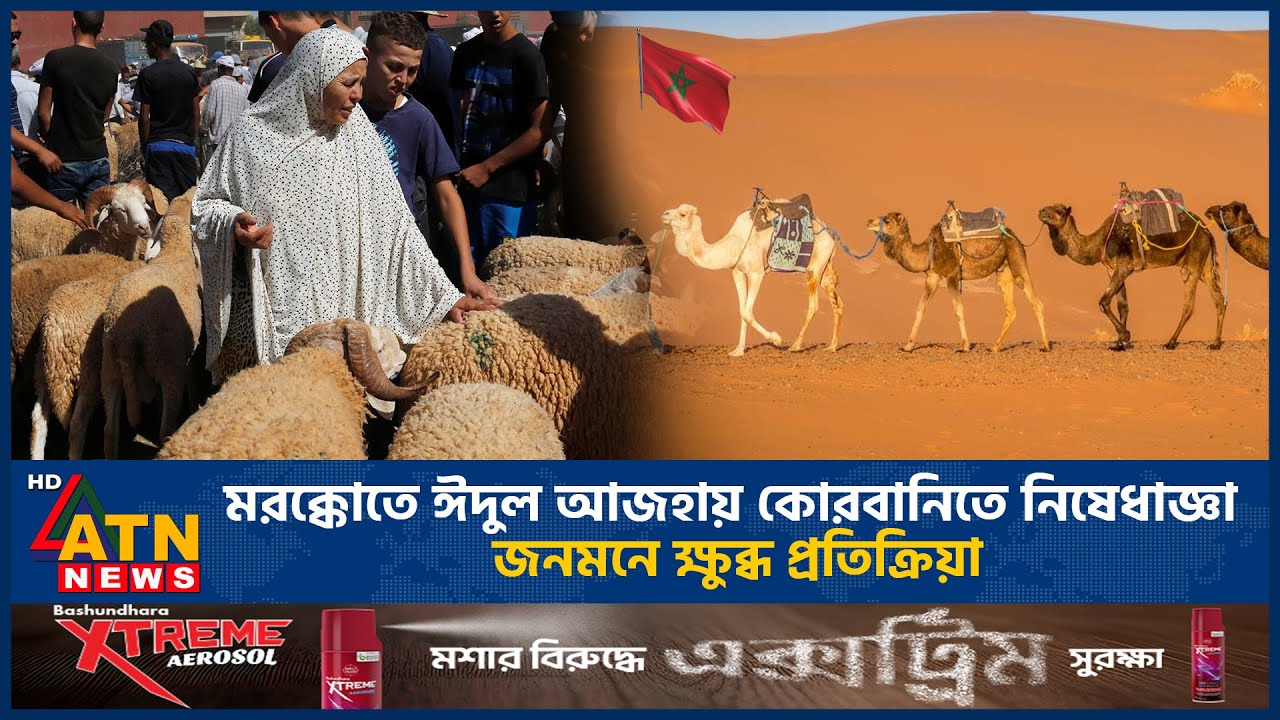 মরক্কোতে ঈদুল আজহায় কোরবানিতে নিষেধাজ্ঞা, জনমনে ক্ষুব্ধ প্রতিক্রিয়া | Morocco | Eid Al-Adha Ban
