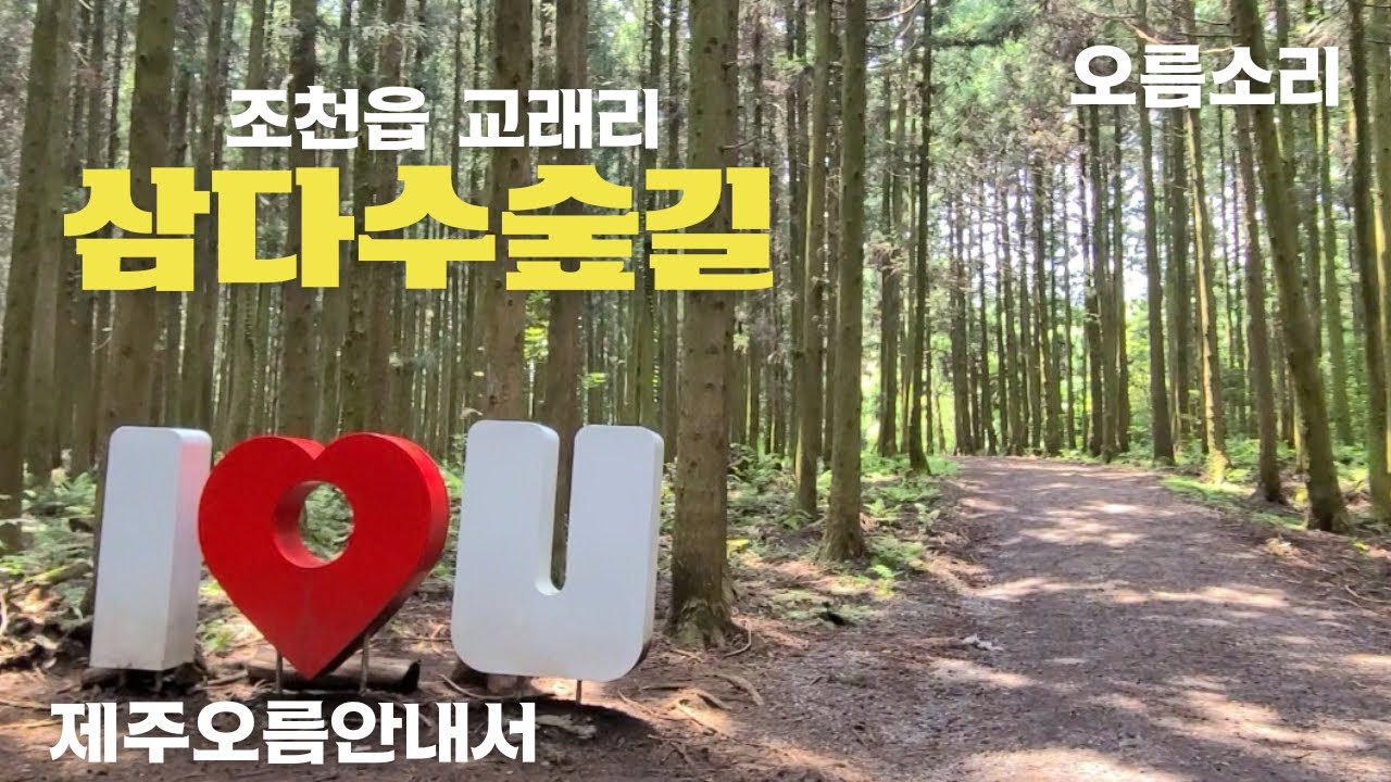 179. (2023.8.13) 제주시 조천읍 교래리에 위치한 삼다수숲길 탐방로 및 전경 소개