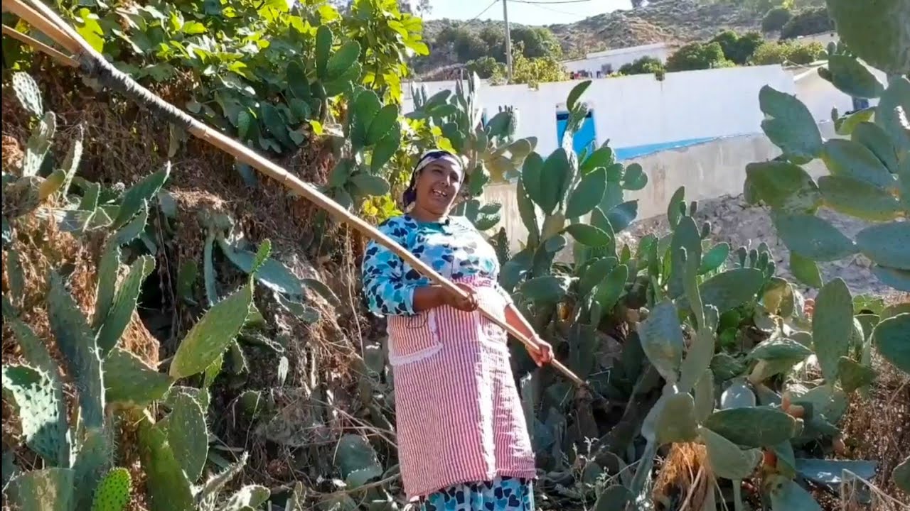 مهنة مي نعيمة البدوية قبل دخولها لليوتيوب (5)