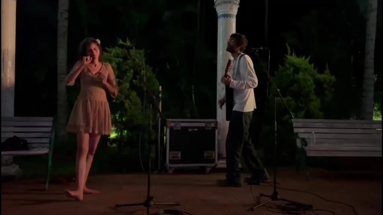 Cats n Chappals - Toxicity (System of a down)