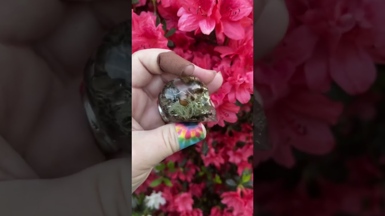 Resin Art Skull with Morels, Mushrooms and Lichen! #ResinArt #Skull #CrystalSkull #Nature