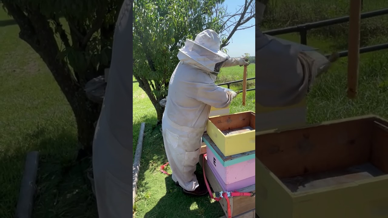 Great results from our Honey B Gone experiment. 