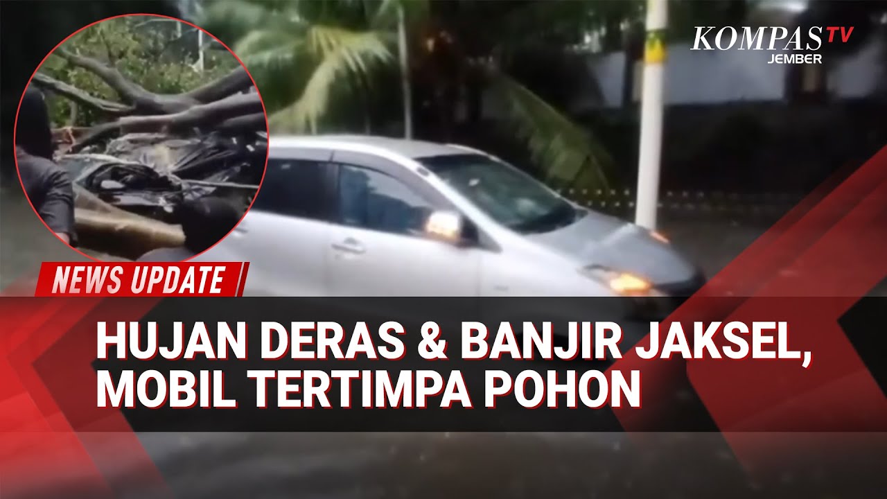 Hujan Deras Guyur Jakarta! Mobil Tertimpa Pohon di Darmawangsa, Jaksel Banjir