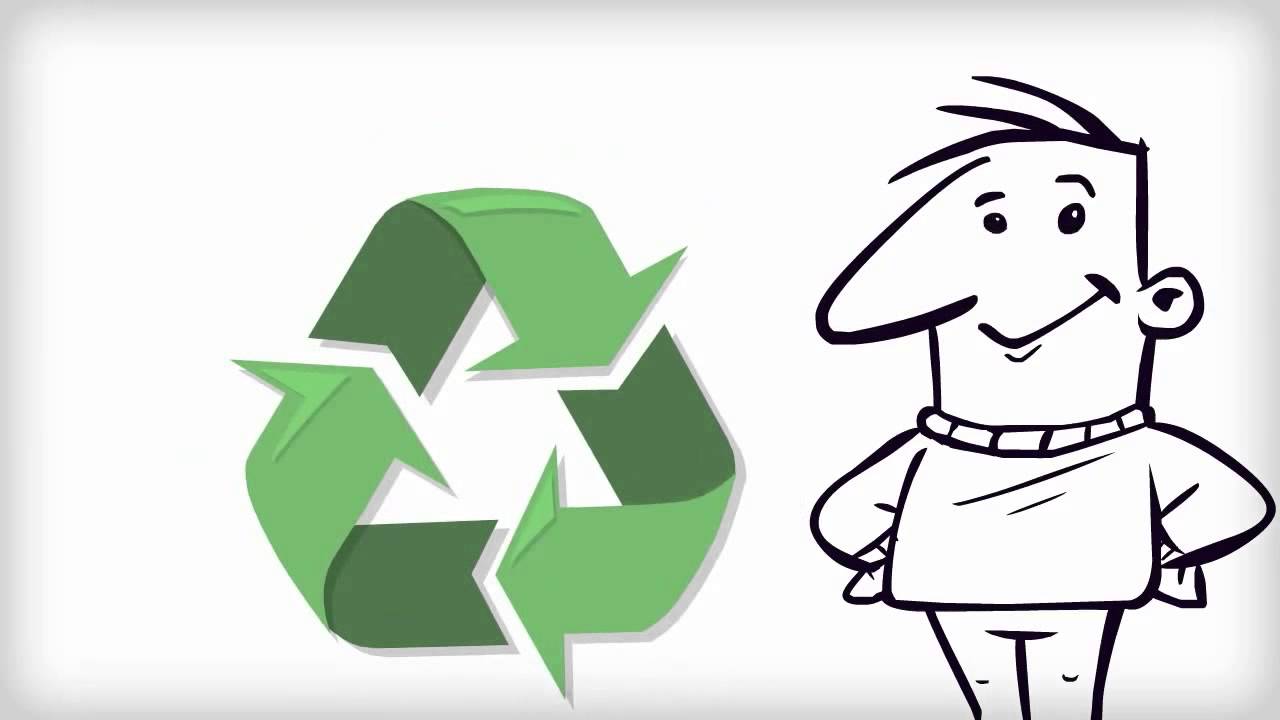 How To Get Rid of Fleas Conroe TX