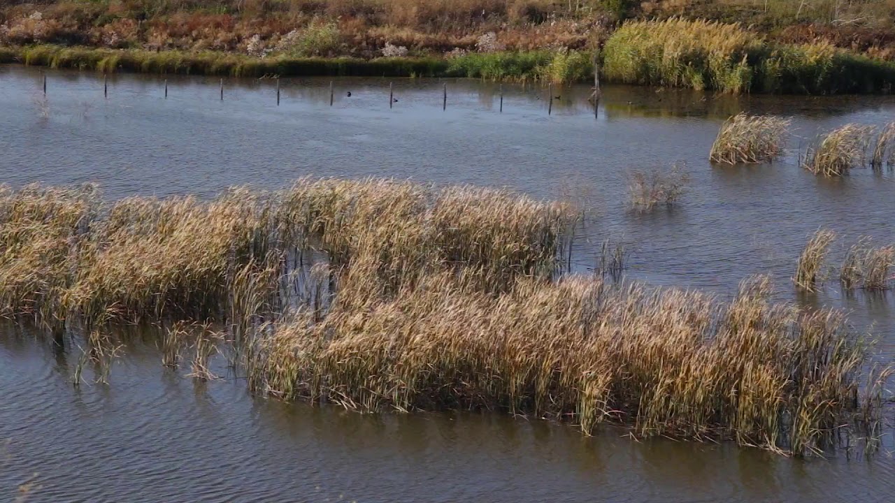 Reka Studena - Bazinele piscicole Hadji Dimitrovo