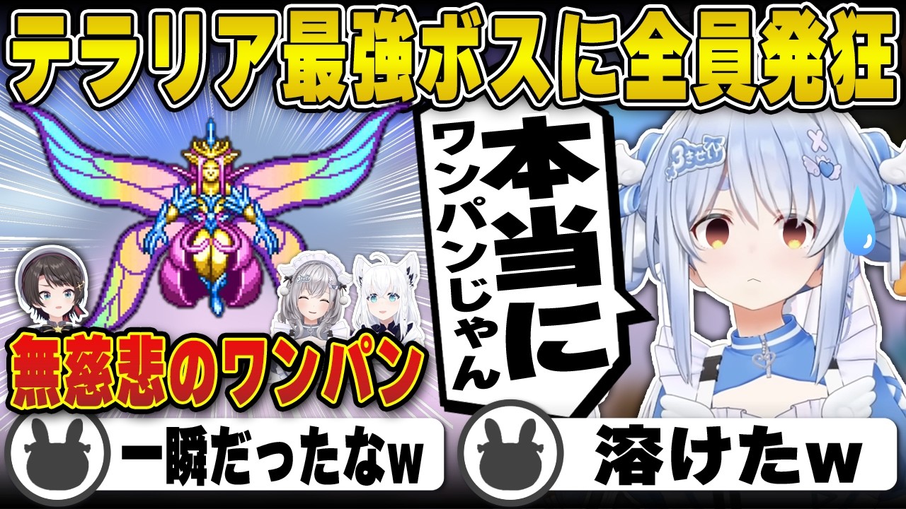 【テラリア】全てが即死攻撃を持つ最強ボスに発狂するぺこらたち | ホロテラリア Day8【ホロライブ/兎田ぺこら/白上フブキ/大空スバル/大神ミオ/宝鐘マリン/白銀ノエル/切り抜き】 #兎田ぺこら