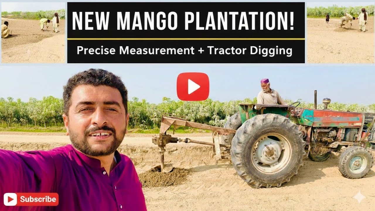Beldar, Pao, Ki, Kar, Oye, Gari, Koke, Bana, YouT channel Raksha Wala #farmervlog #comedy #video 
