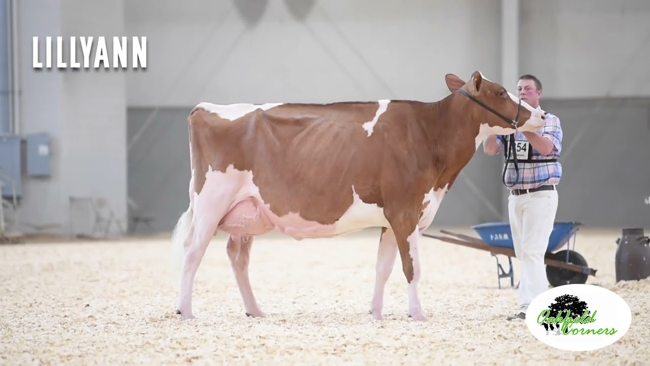World Dairy Expo 2022