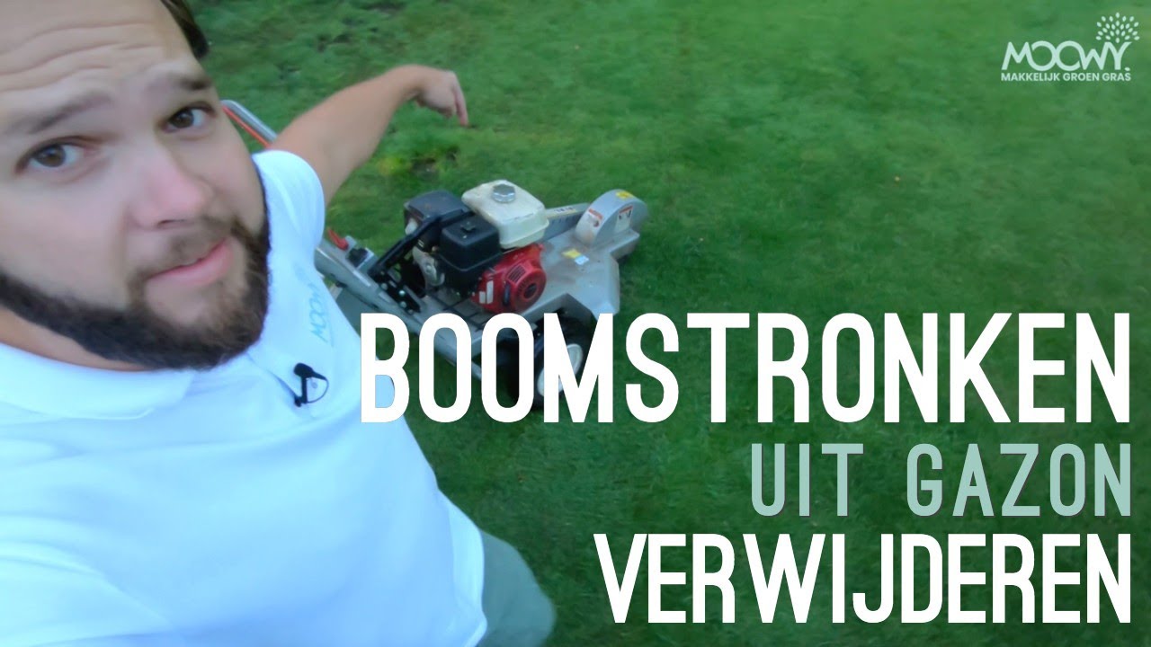 Boomstronken Verwijderen uit het Gazon | MOOWY Gazon Renovatie
