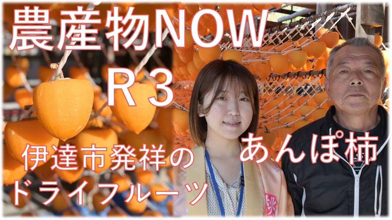 農産物NOW R3 Vol. 11  伊達市発祥のドライフルーツ　伊達のあんぽ柿