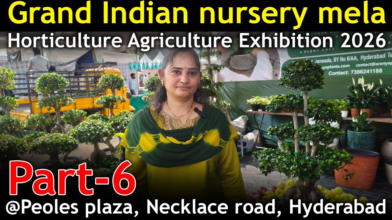 Grand Indian nursery mela Part-6 Hyderabad... Horticulture Agriculture Exhibition 2026 #nurserymela