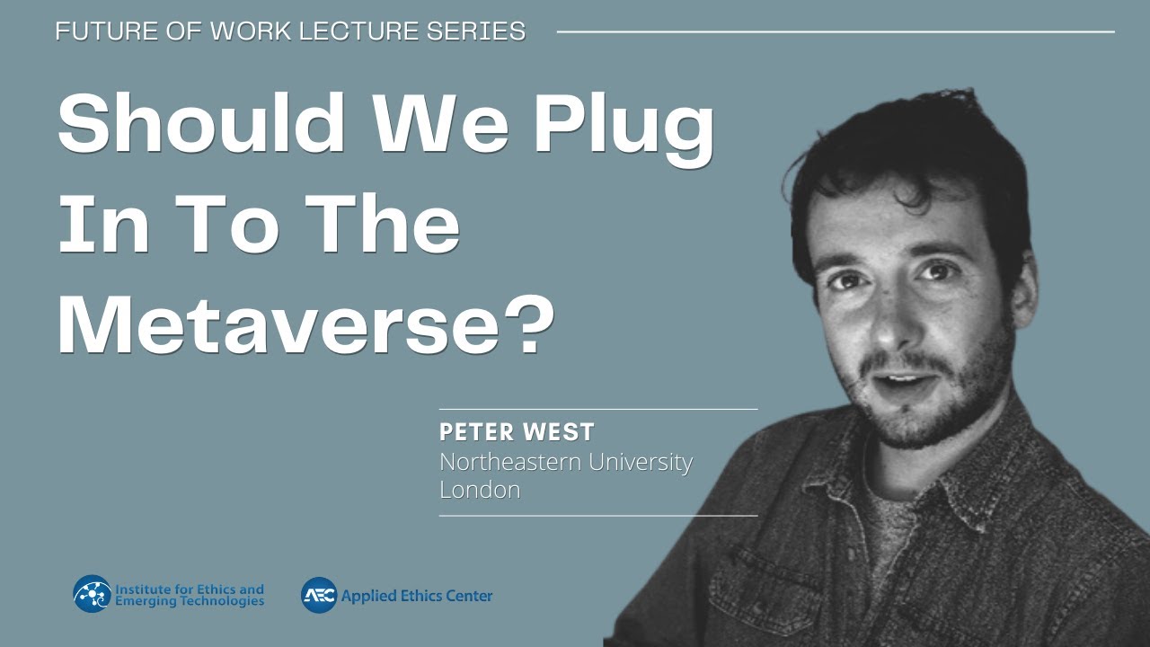 Should We Plug Into the Metaverse?