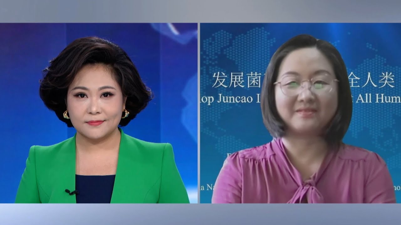 China's Juncao technology boosts Pacific farmers' livelihoods