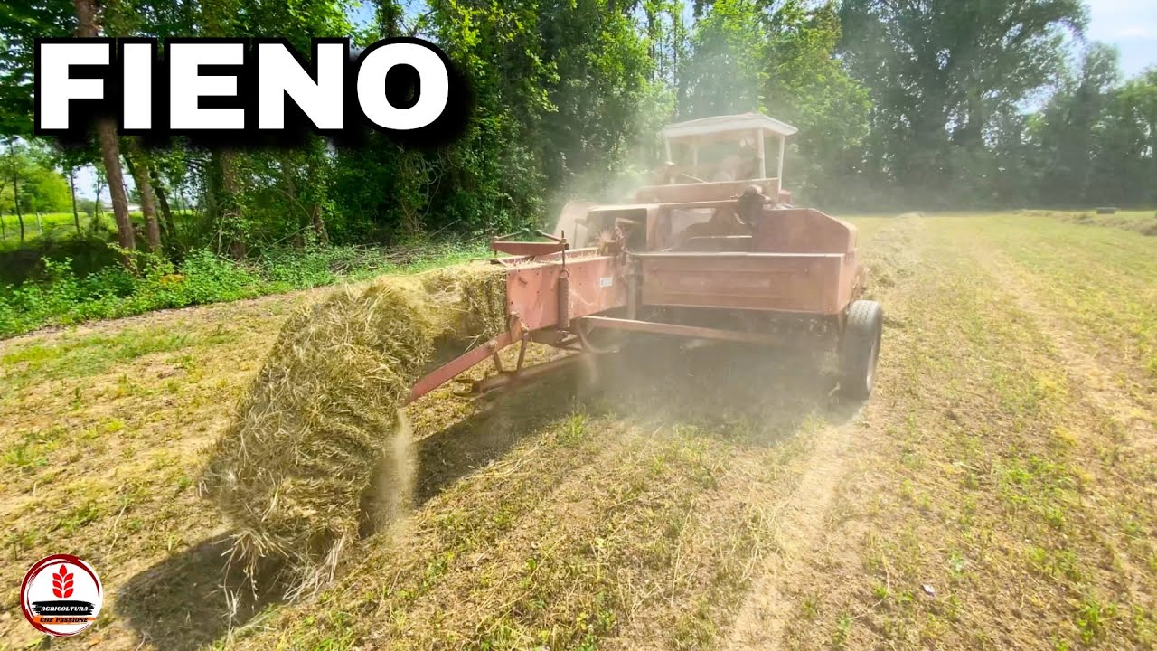 COME SI PRODUCE IL FIENO #03 | IMBALLATURA | Imballatrice Massey Ferguson