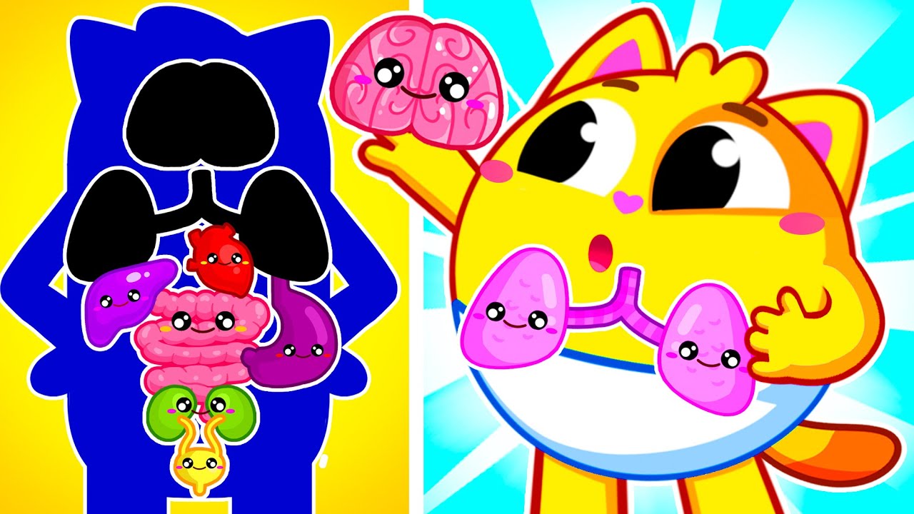 Body Secrets for Kids | Let's Organs Inside Us | Funny Song For Baby & Nursery Rhymes by Toddler Zoo