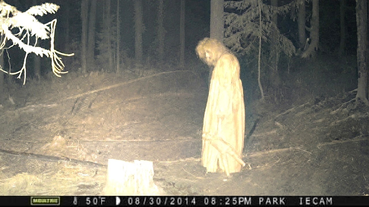 7 Times Cameras Caught Disturbing Forest Encounters