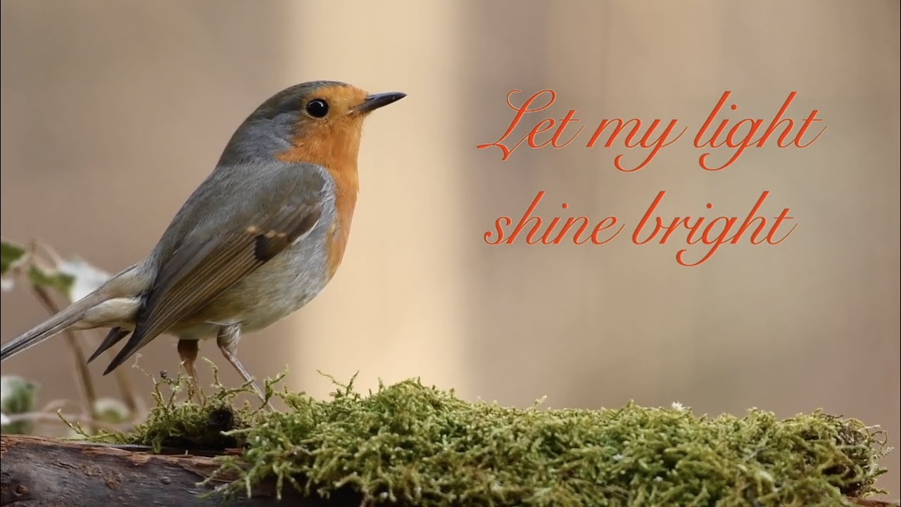 Let my light shine bright