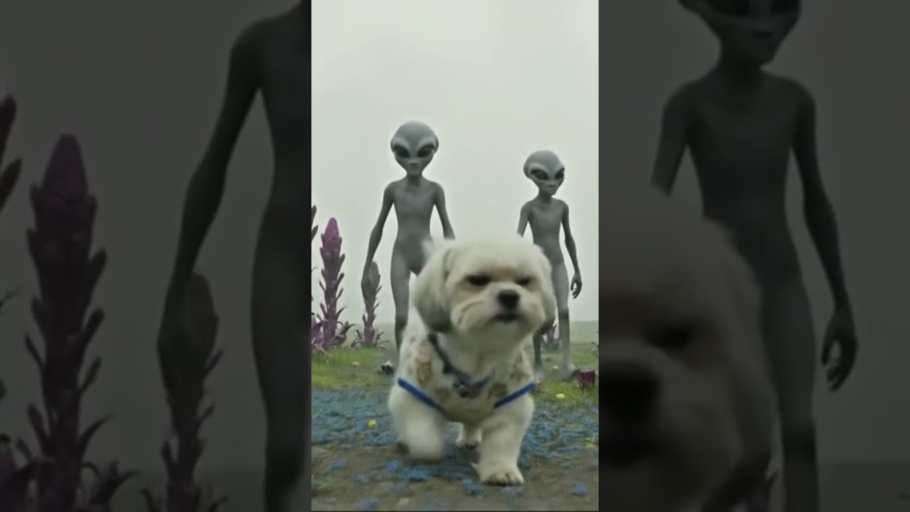 Coco is on a alien planet 