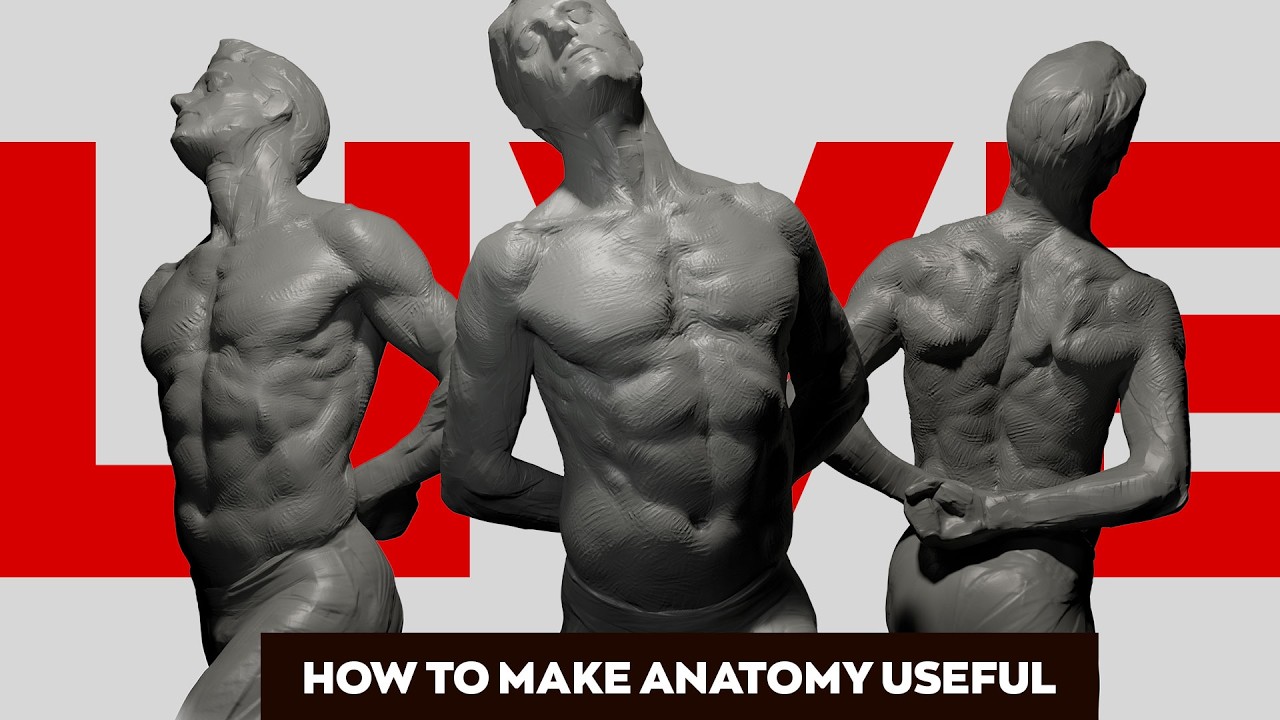 Anatomy for Artists: Volumes To Structure