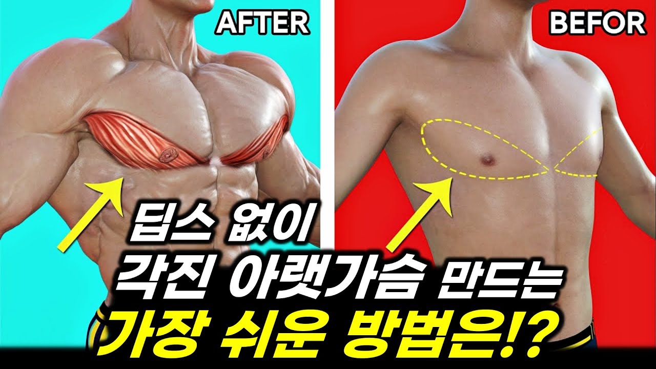 [아랫가슴] 딥스 해도 자극 없고 어깨만 아프다면 '이 운동'으로 쉽게 만드세요! (딥스 없이 아래가슴 키우는 방법)