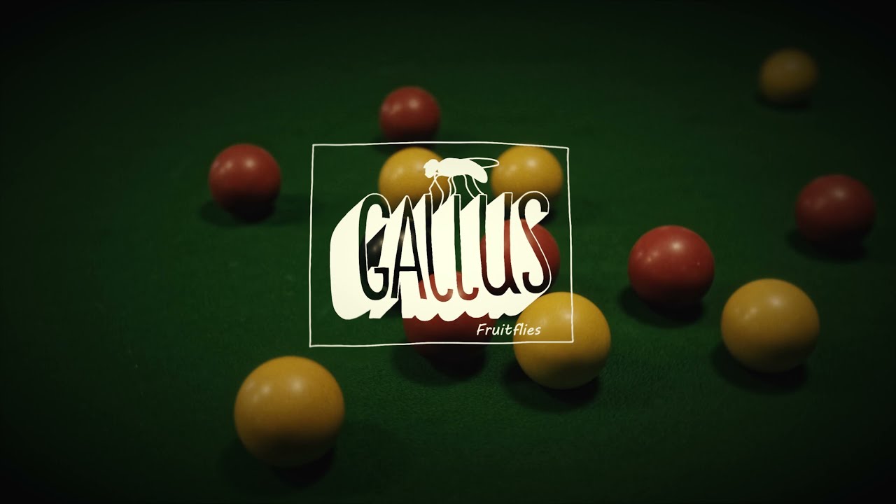Gallus - Fruitflies (Official Video)