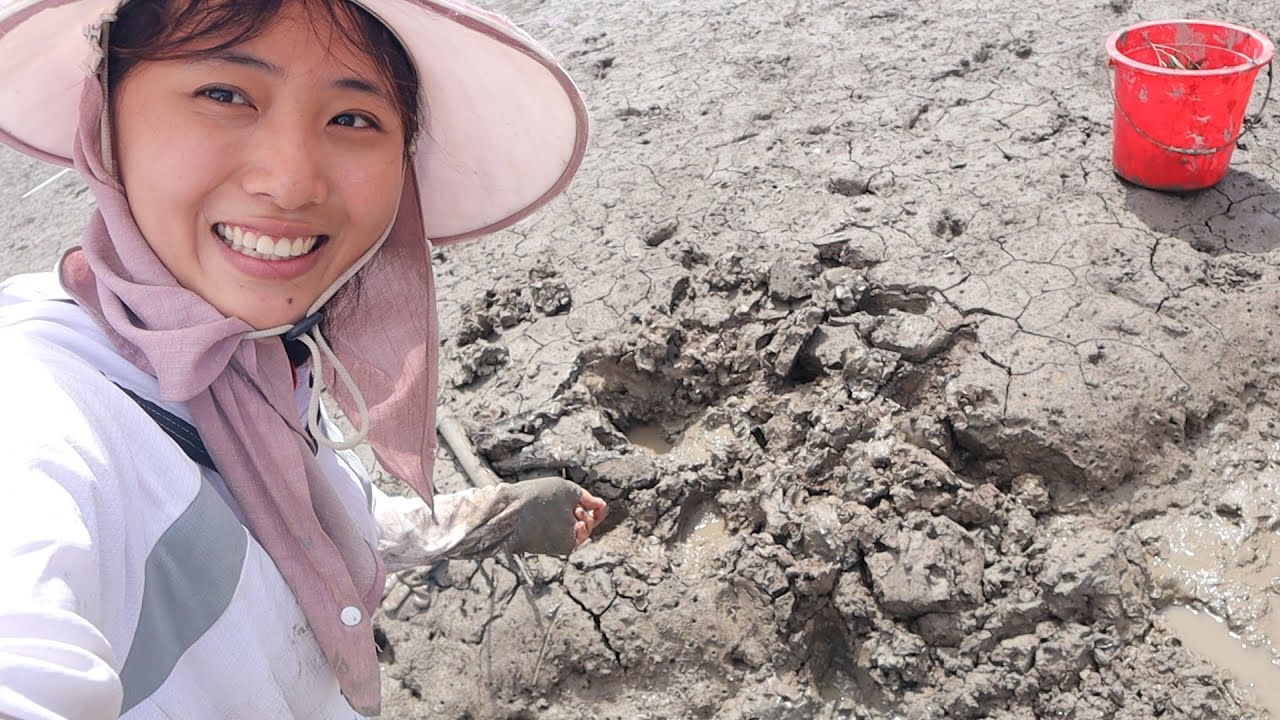 海边泥地直冒水泡，渔妹挽起袖子就开挖，底下果然藏了值钱货