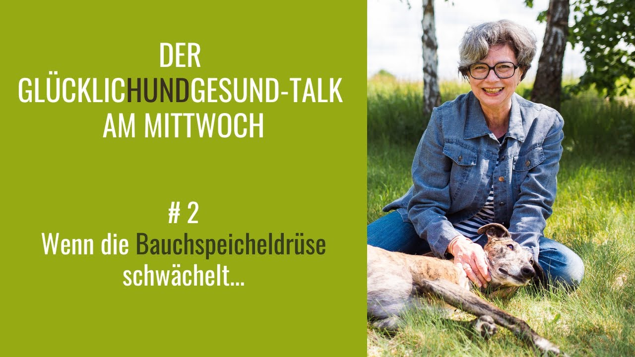 GlücklicHundGesund-Talk # 2 –  Wenn die Bauchspeicheldrüse schwächelt...