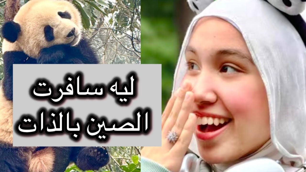 ليه سافرت الصين بالذات مش اي بلد تانية 