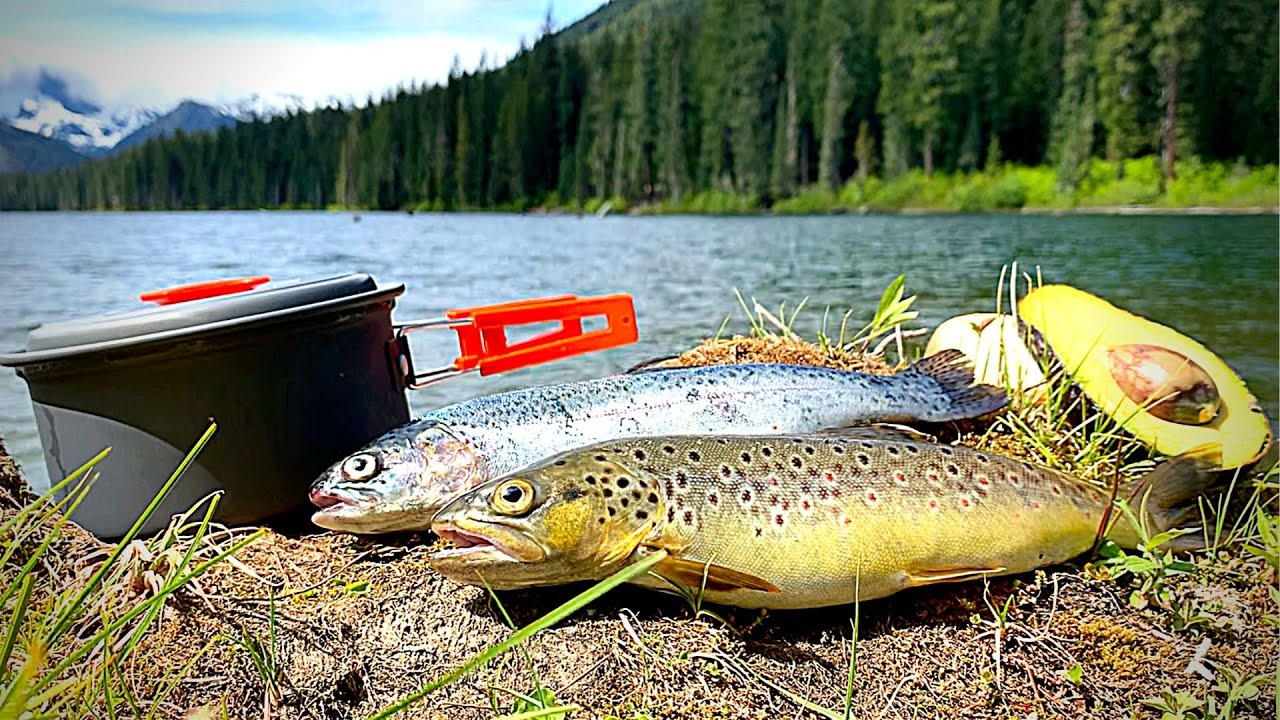 MOUNTAIN TROUT Catch & Cook (FIRE ROASTED!!!)