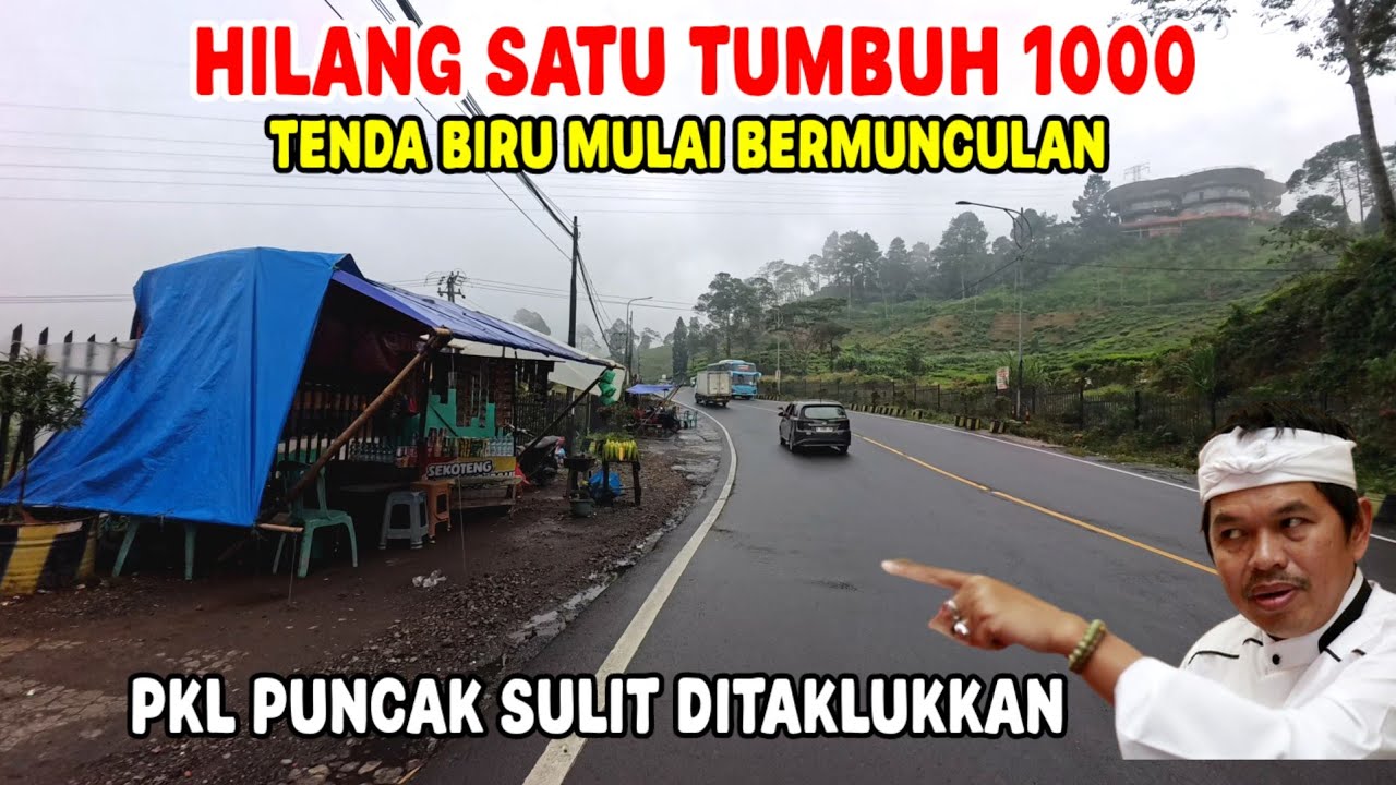 MULAI BERMUNCULAN TENDA BIRU JALUR PUNCAK || HILANG SATU TUMBUH SERIBU 