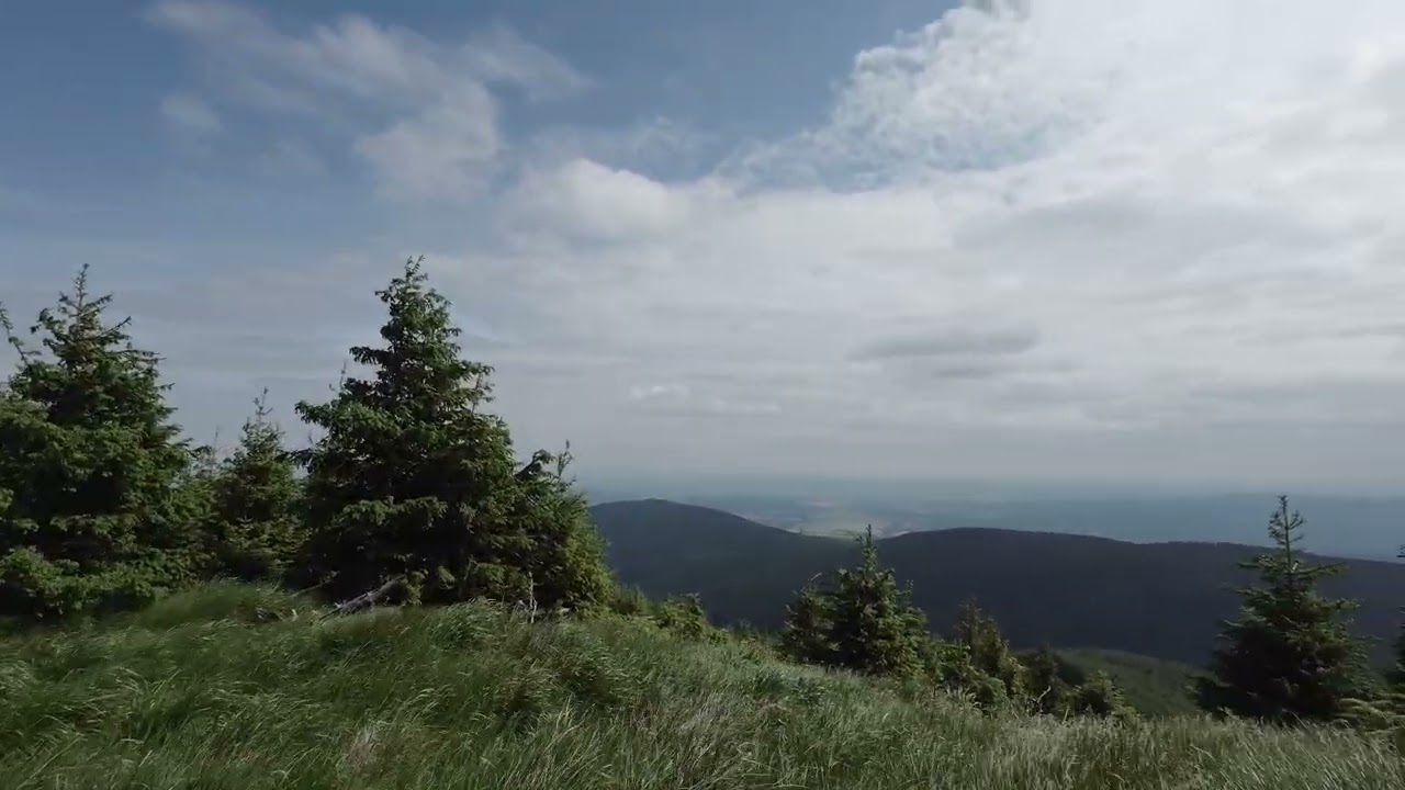Kojsovska Hola