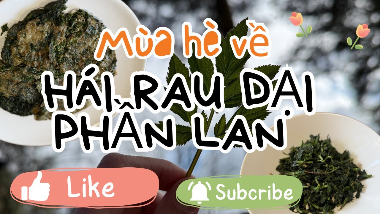 #34| Tháng 5 ở Phần Lan – mùa của rau dại xanh mướt!