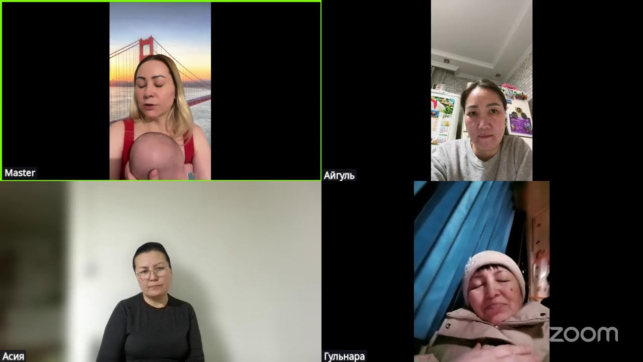 Zoom Meeting Master