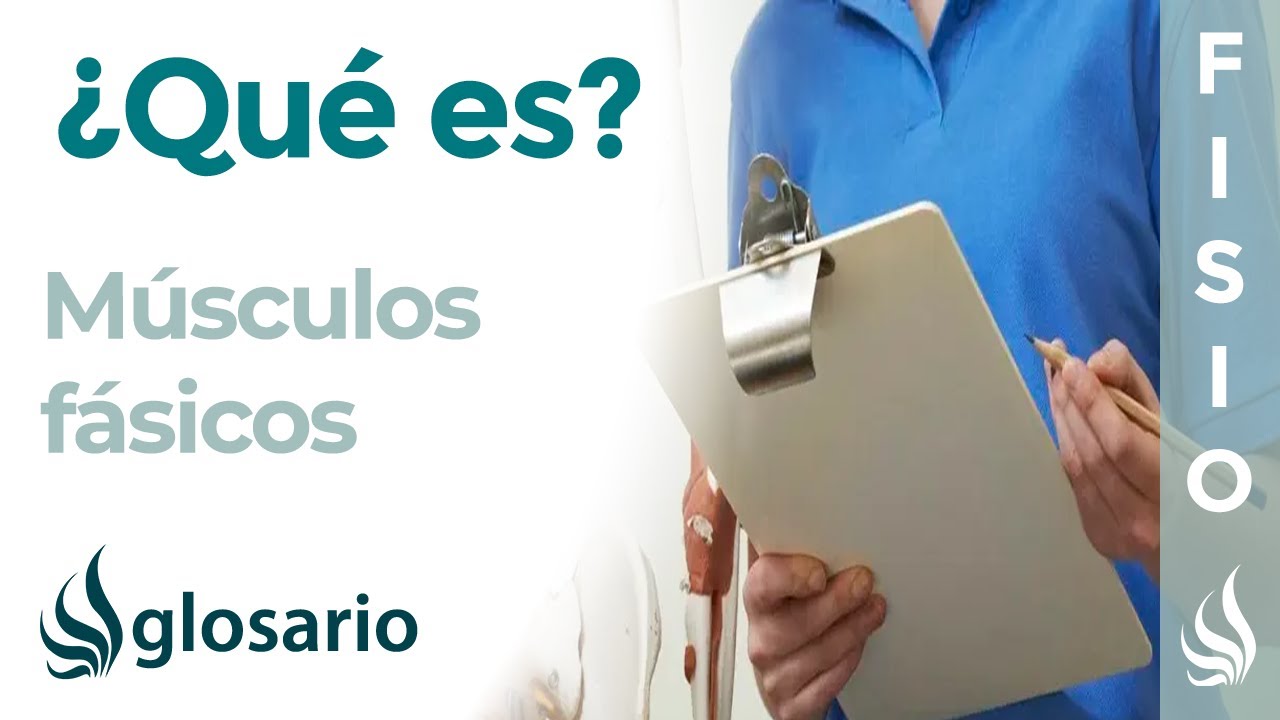 FÁSICOS | Qué son, cuáles músculos del cuerpo son fásicos y cuál es su función