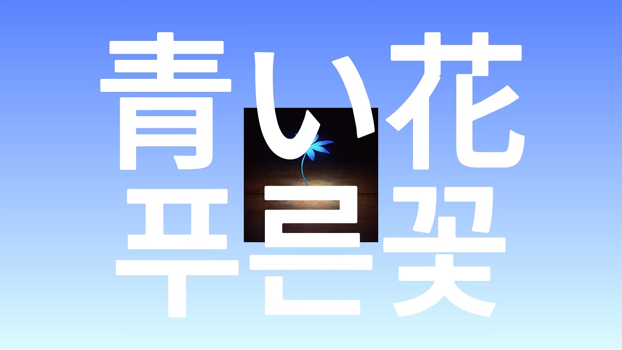 우리는 푸른 꽃처럼 피어나 : 푸른 꽃(青い花) [가사/발음/한글자막/해석]