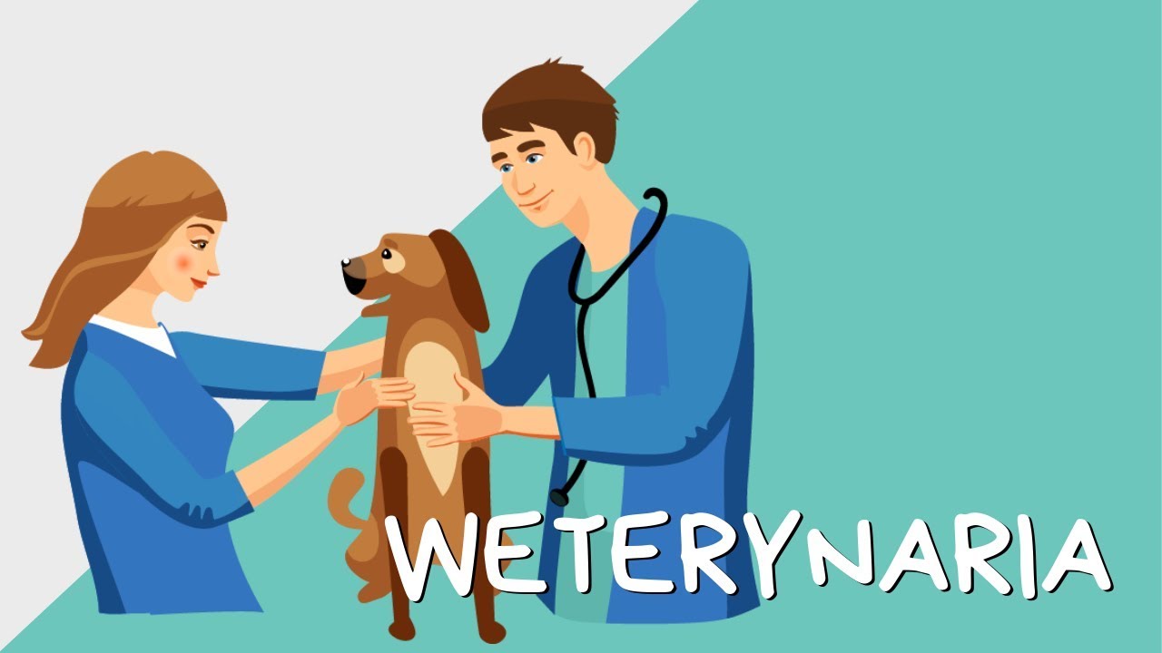 #3 CPM: Co można robić po weterynarii? #weterynaria