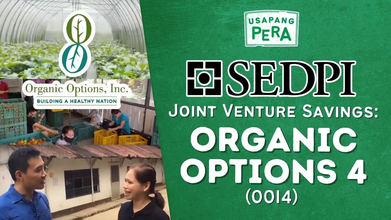 Vince Rapisura 2224: SEDPI Joint Venture Savings: Organic Options 4 (OOI4)