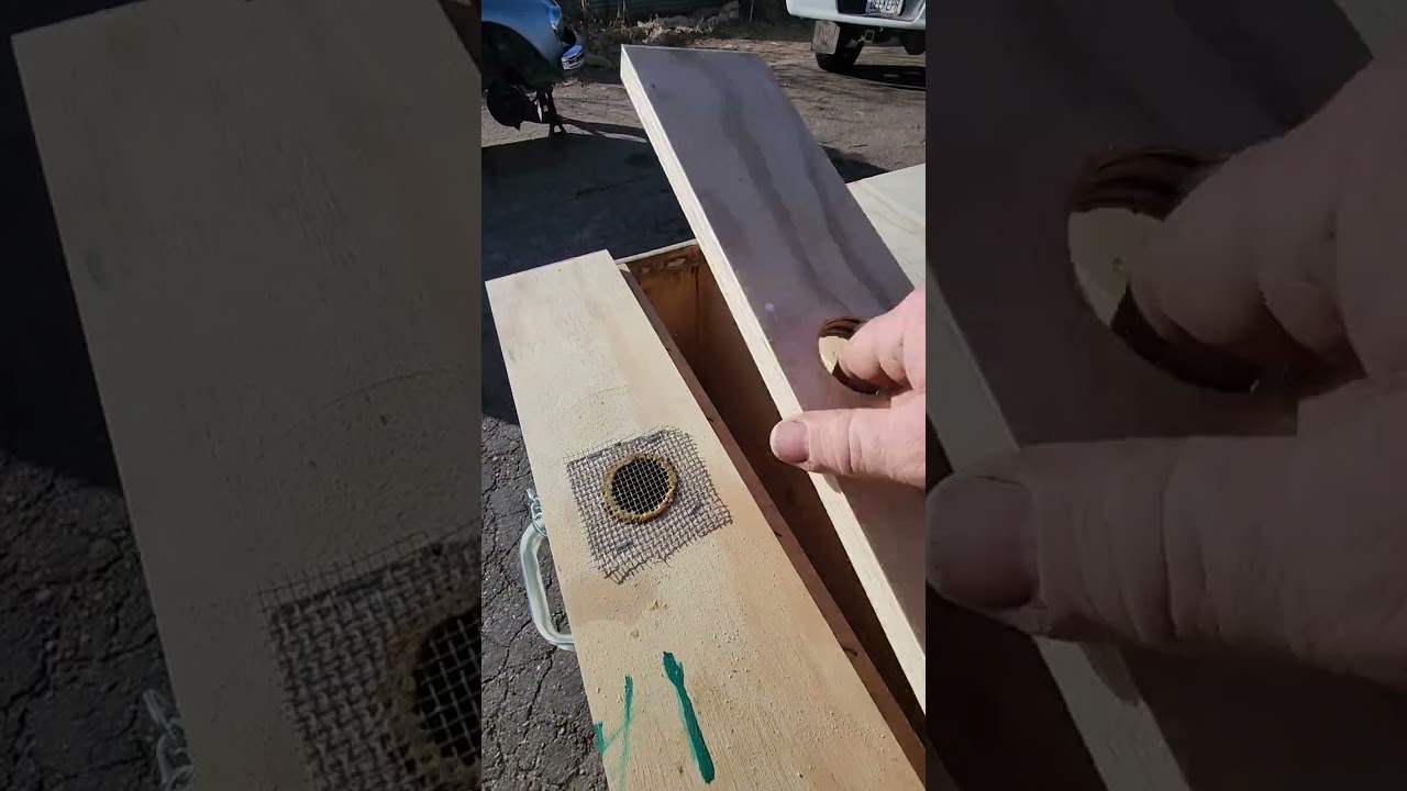 Honeybee mating hive out of Langstroth long. #beekeeping #beekeeper #honeybees #beehives 