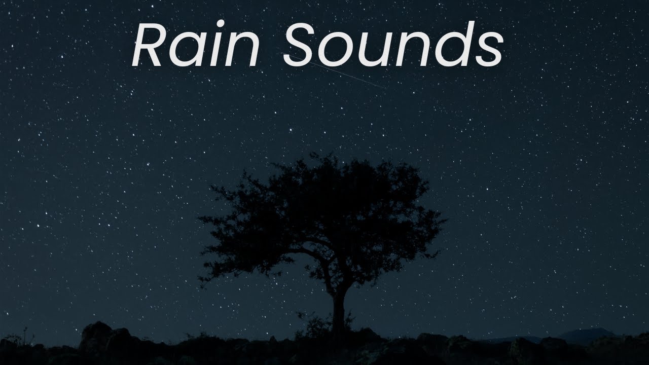 Rain & Bird Sounds for Deep Sleep 🌧️🕊️ | Nature Sounds | Aura Stillness