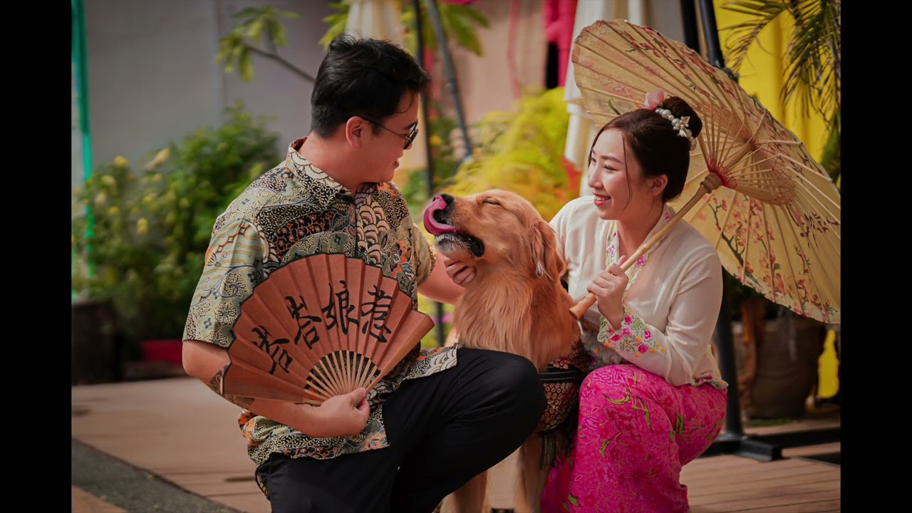 Wedding day Photography | Prewedding Photography