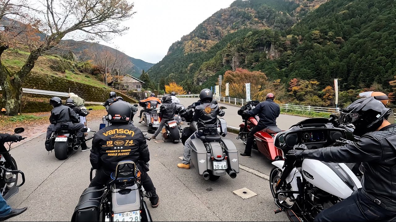 【愛媛宇和島みかん農園 vlog】ハーレークィーン紅葉狩り40台出動ツーリング