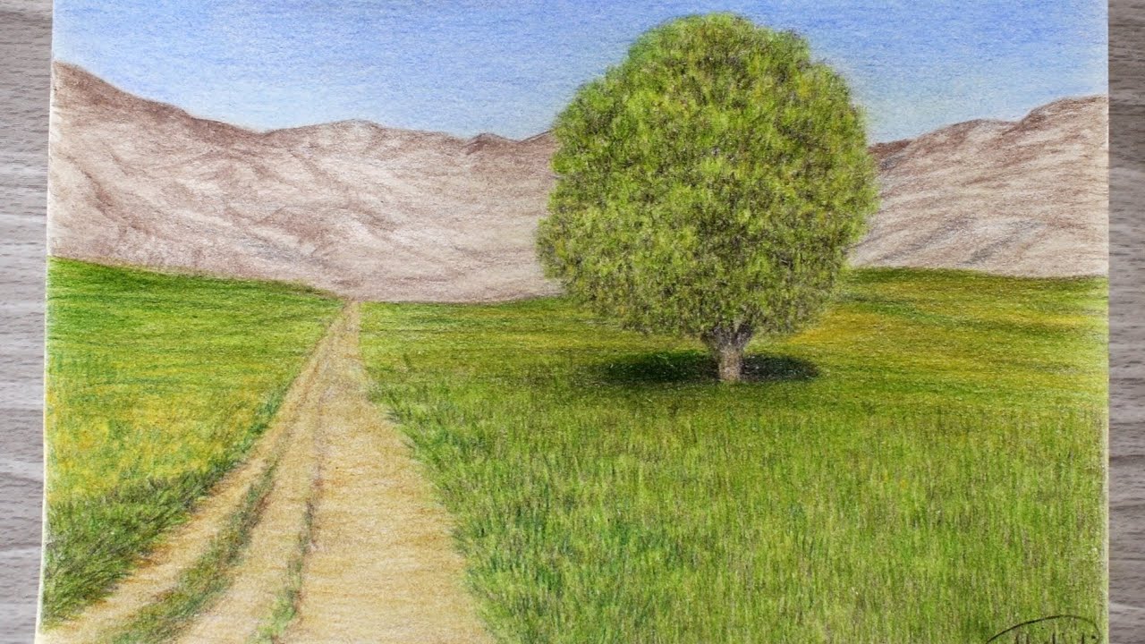 تعلم رسم منظر طبيعي جميل بالالوان الخشبية - رسم شجرة - فيديو بالوقت الحقيقي تقريباً