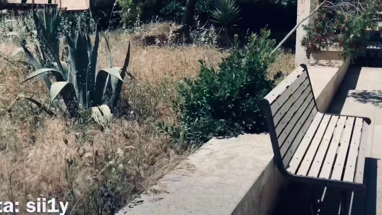 Informatics Engineering-University of Aleppo  🇸🇾 كلية الهندسة المعلوماتية -حلب .